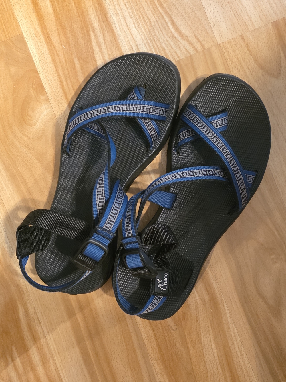Chaco Classic Strappy Sandals in Black & Blue